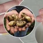 A szennyeződés másodpercek alatt lejön: hogyan tisztítsuk meg az ujjainkat